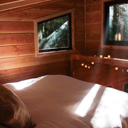 Cabanas Bosque Milenario Conaripe Bagian luar foto