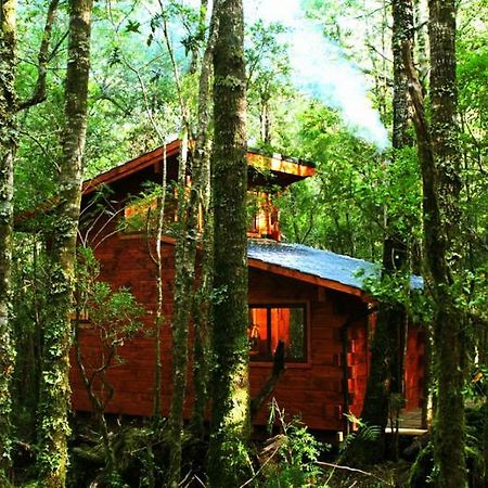 Cabanas Bosque Milenario Conaripe Bagian luar foto