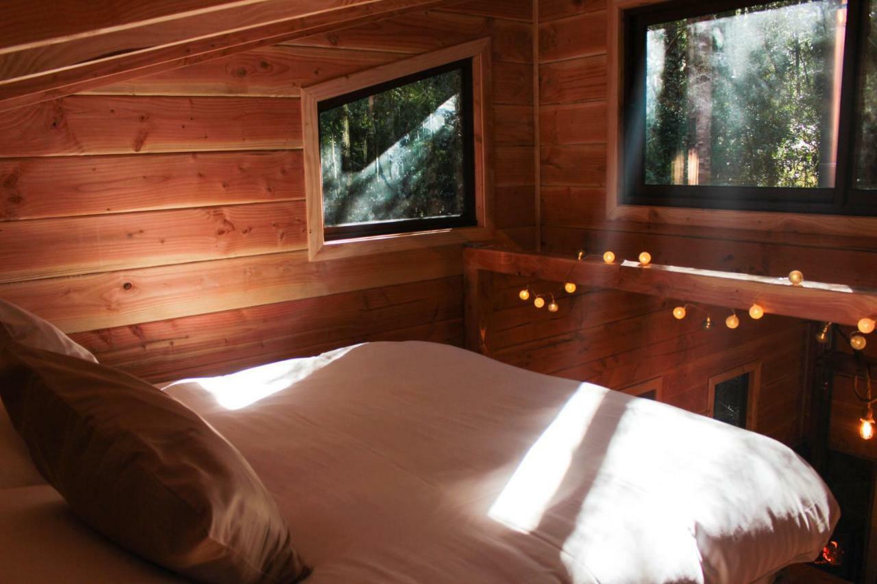 Cabanas Bosque Milenario Conaripe Bagian luar foto