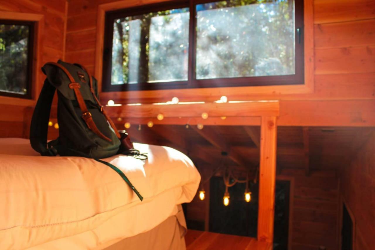 Cabanas Bosque Milenario Conaripe Bagian luar foto