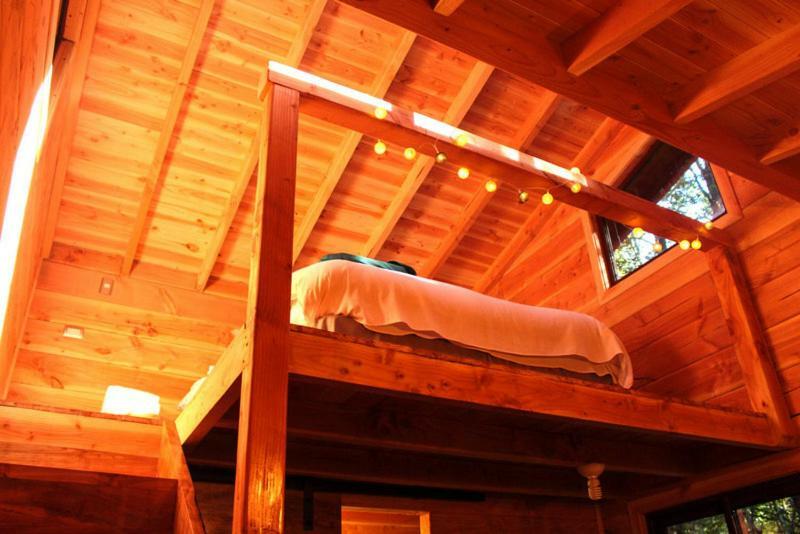 Cabanas Bosque Milenario Conaripe Bagian luar foto