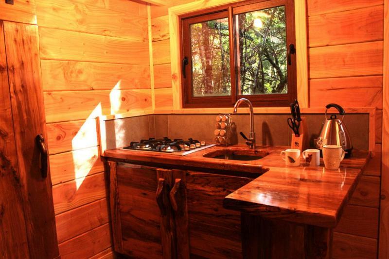 Cabanas Bosque Milenario Conaripe Bagian luar foto