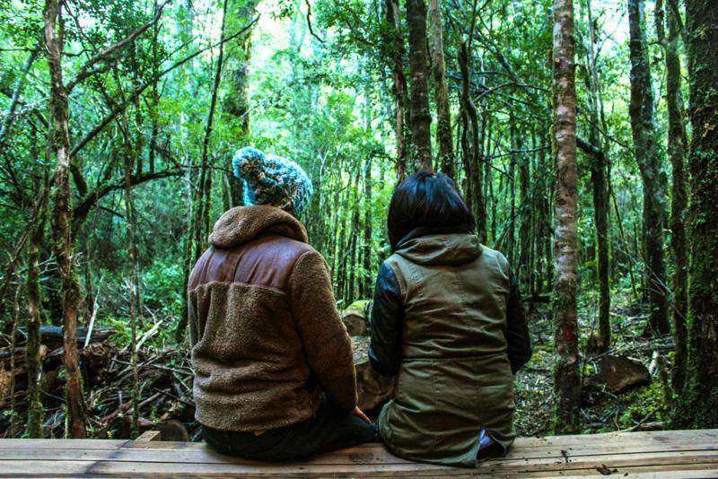 Cabanas Bosque Milenario Conaripe Bagian luar foto