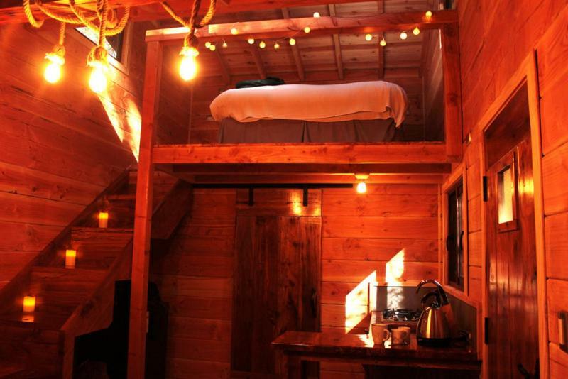 Cabanas Bosque Milenario Conaripe Bagian luar foto