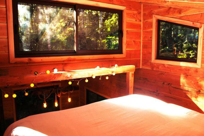 Cabanas Bosque Milenario Conaripe Bagian luar foto