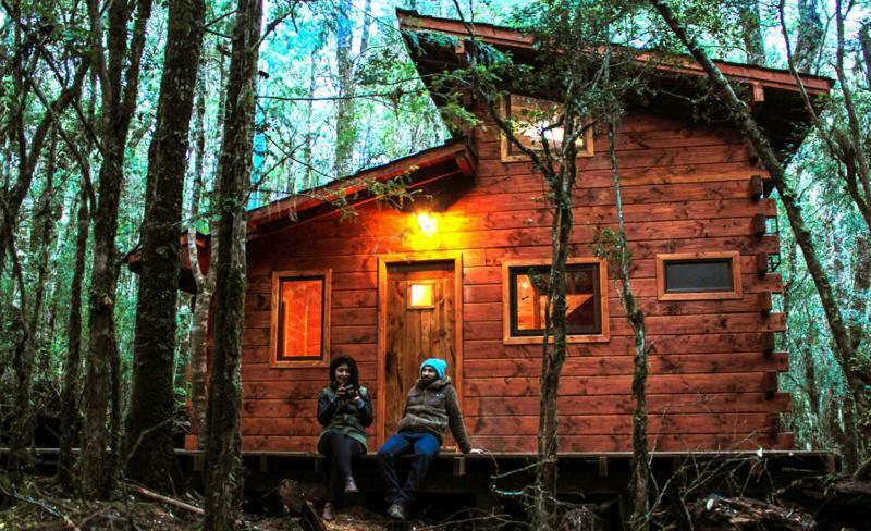 Cabanas Bosque Milenario Conaripe Bagian luar foto