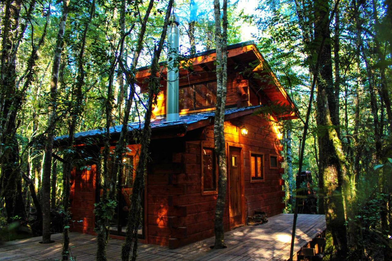 Cabanas Bosque Milenario Conaripe Bagian luar foto