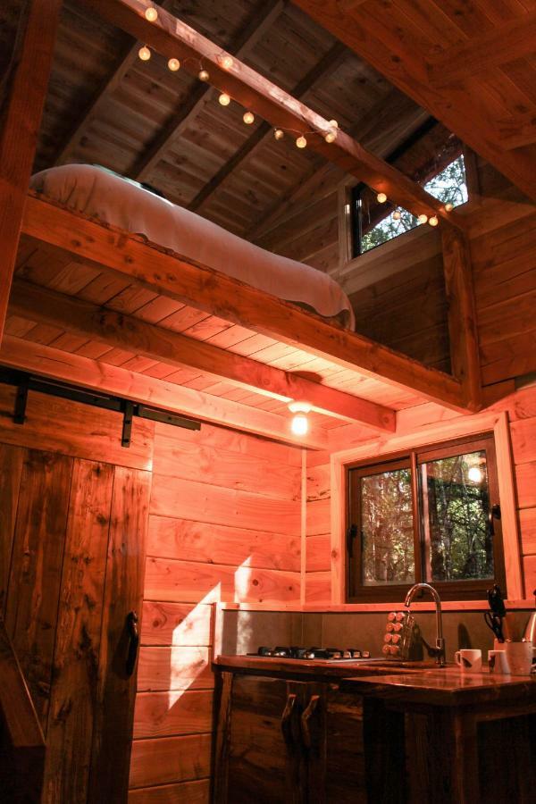 Cabanas Bosque Milenario Conaripe Bagian luar foto