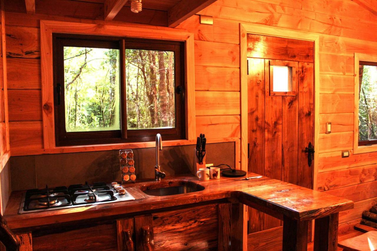 Cabanas Bosque Milenario Conaripe Bagian luar foto