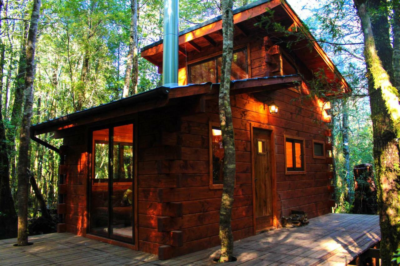 Cabanas Bosque Milenario Conaripe Bagian luar foto
