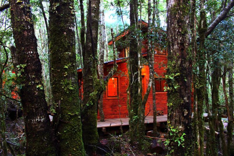 Cabanas Bosque Milenario Conaripe Bagian luar foto